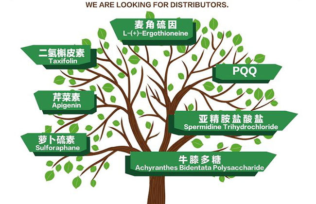 Invitation to CPHI and HIC exhibitions